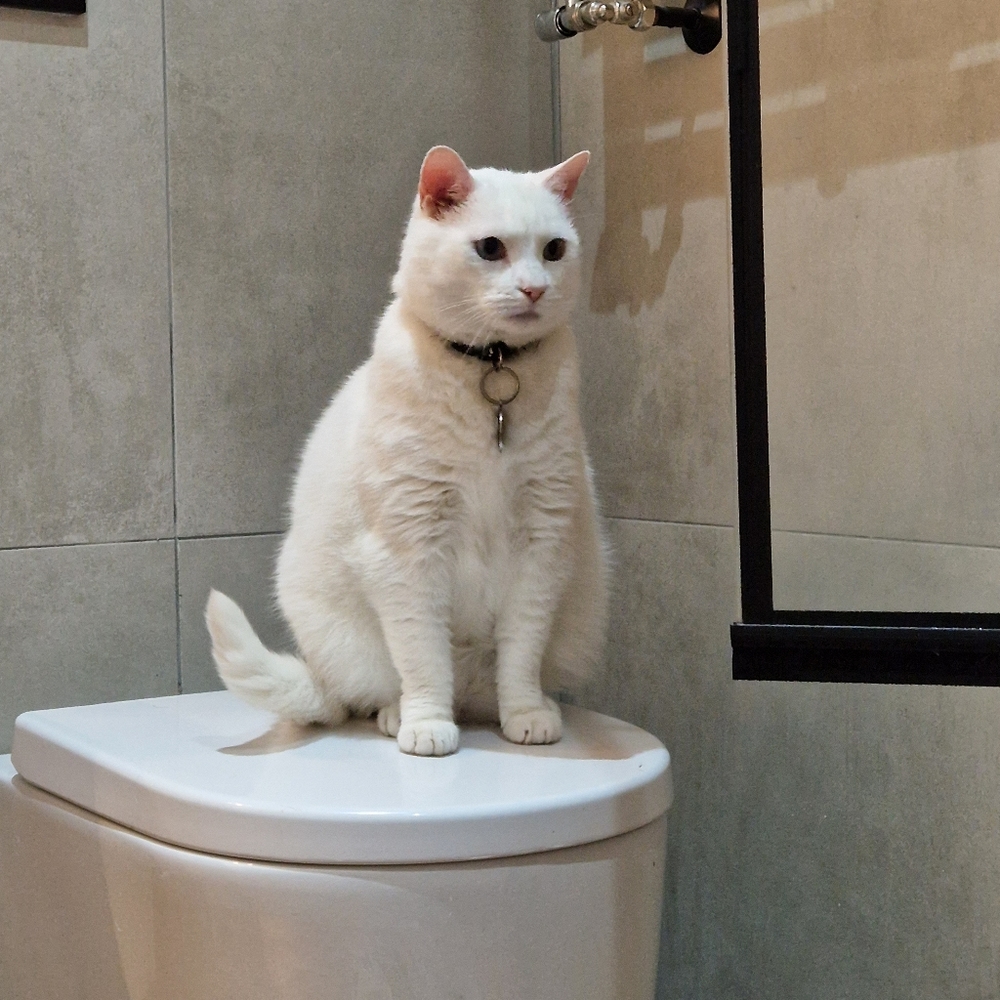 Meet your Posher, Ewa